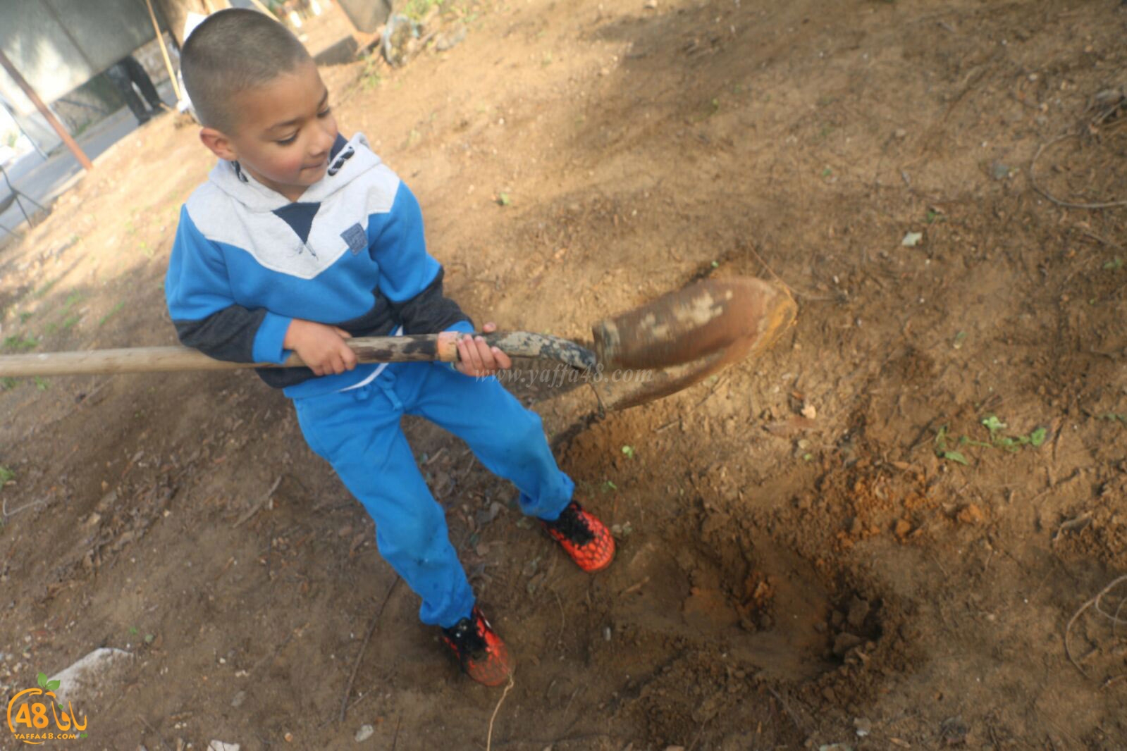 taso 23 tendedf (57).jpg